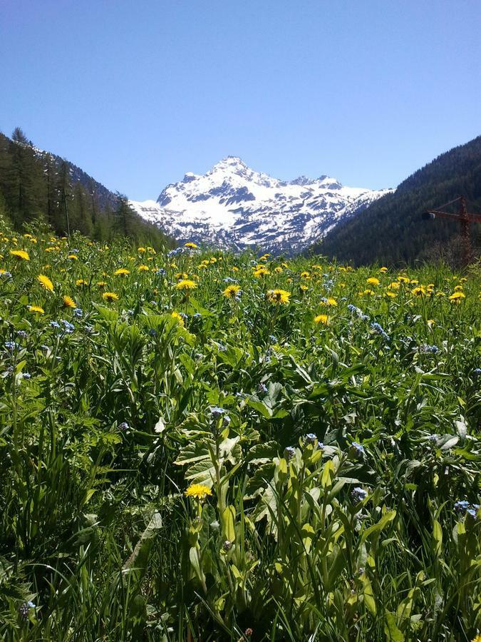 La Niche B&B La Thuile Zewnętrze zdjęcie